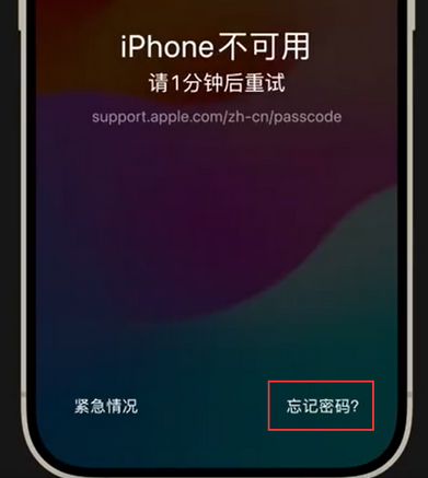 志丹苹果手机密码维修分享iPhone忘记了刚设置的密码 