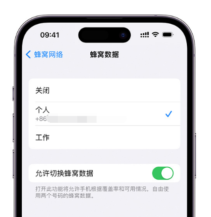 志丹苹果维修服务分享如何在iPhone上使用双卡 
