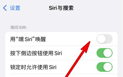 志丹苹果13维修分享iPhone 13怎么唤醒 Siri  