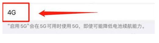 志丹苹果13维修分享iPhone 13恒定4G设置方法 